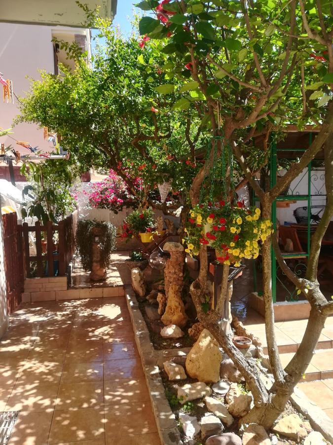 B&B Lety Alghero Exterior foto