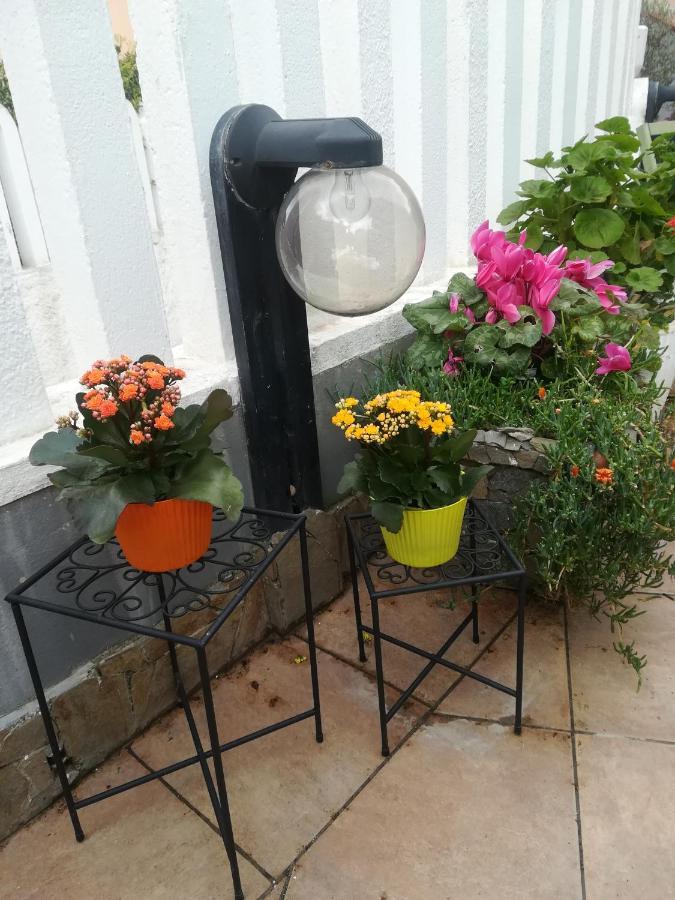 B&B Lety Alghero Exterior foto