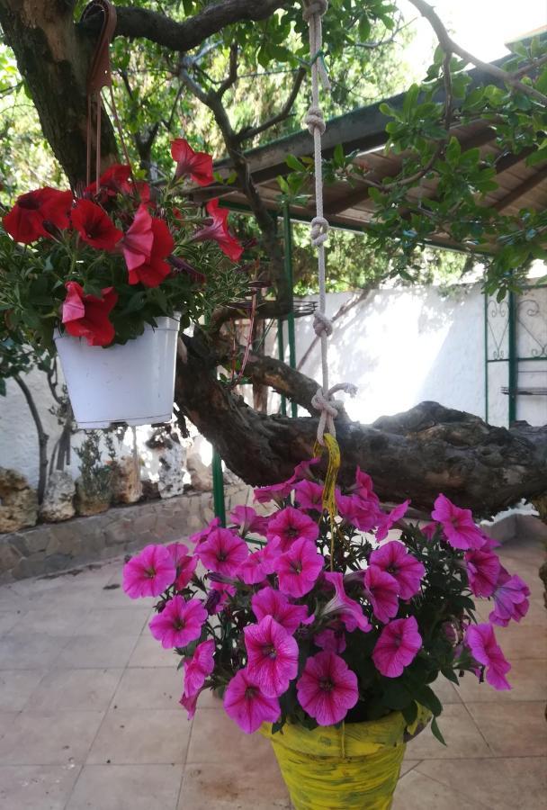 B&B Lety Alghero Exterior foto