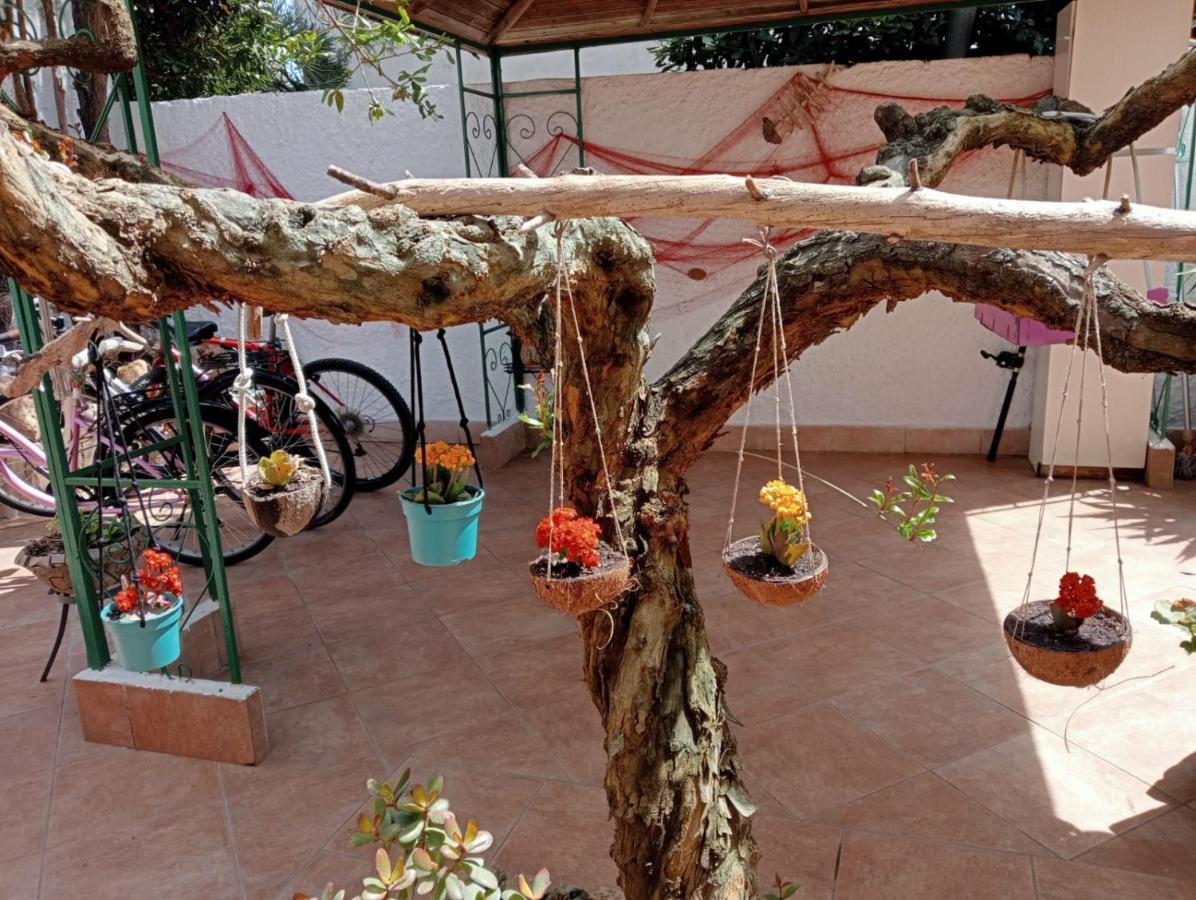 B&B Lety Alghero Exterior foto